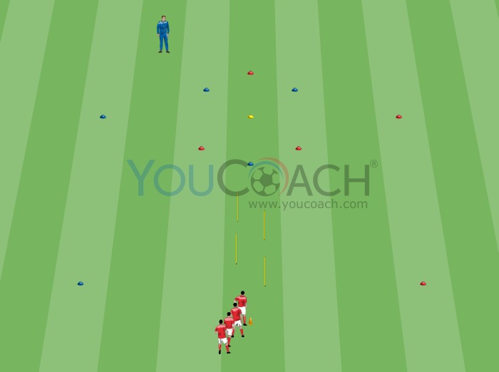 Circuito Físico - O Hexágono