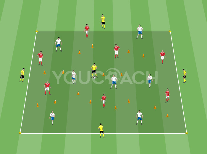 Ballbesitz 7 gegen 7 + 5 Joker