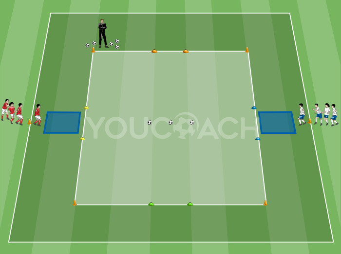 Grundlegende Bewegungsmuster: Reaktionsfähigkeit